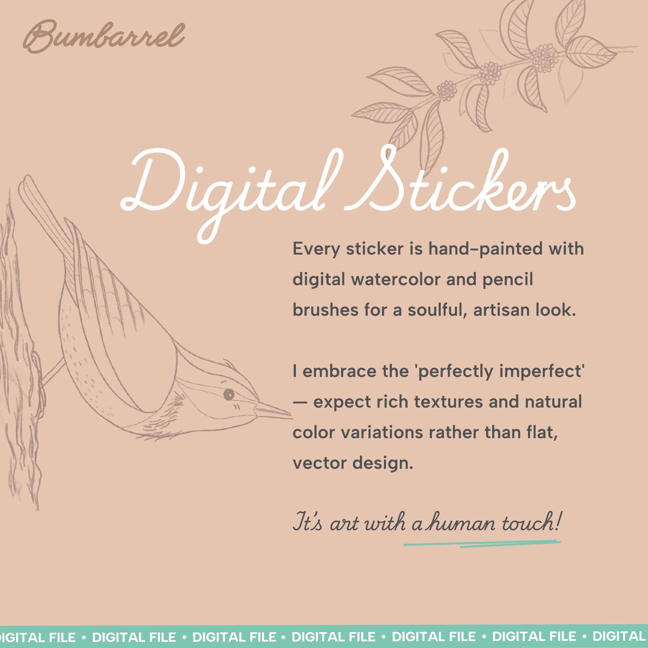 Digital Product: Bird Watching Journal Stickers