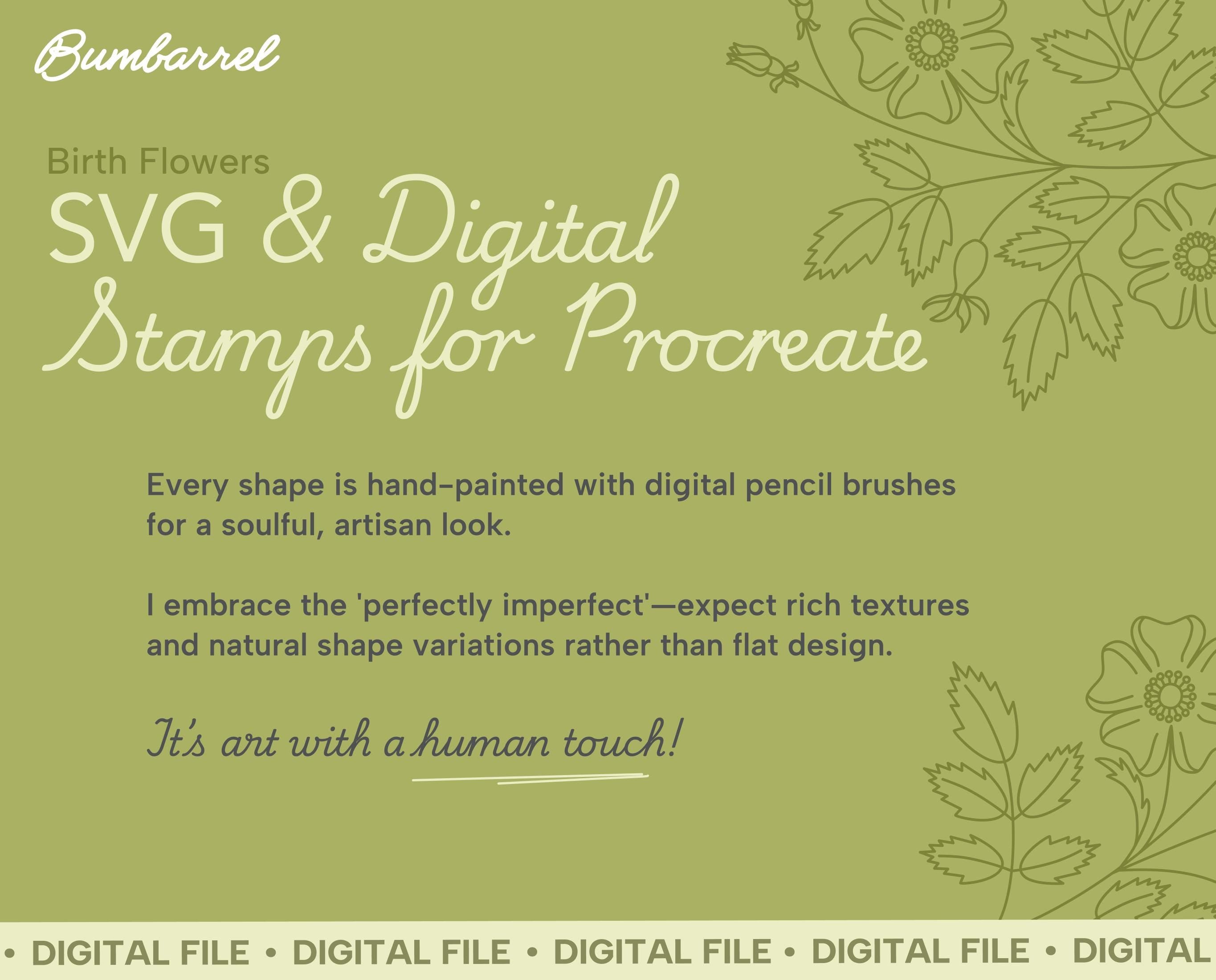 Birth Flower SVG and Procreate Stamps: Hand-drawn Floral Silhouettes