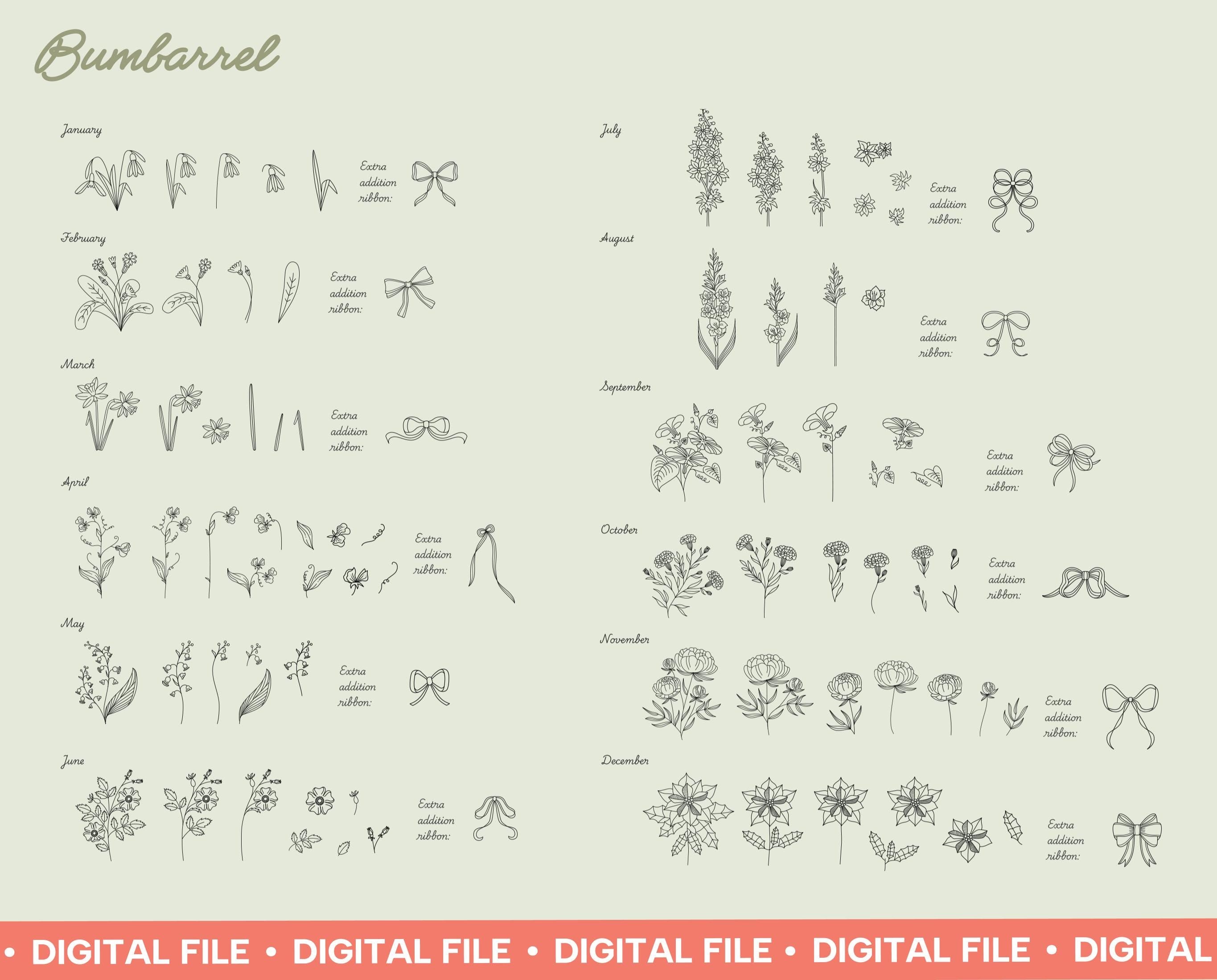 Birth Flower SVG and Procreate Stamps: Hand-drawn Floral Silhouettes