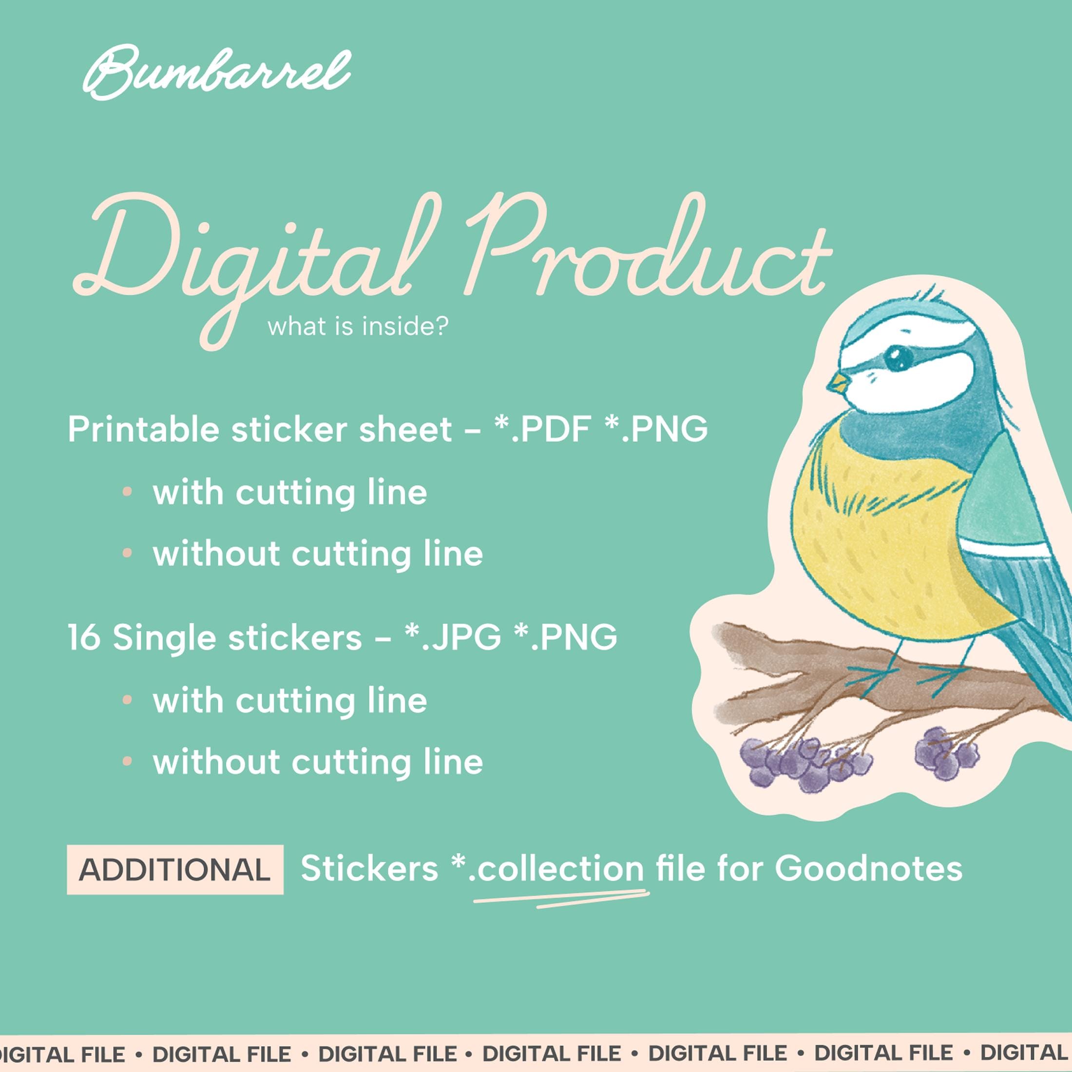 Digital Product: Bird Watching Journal Stickers